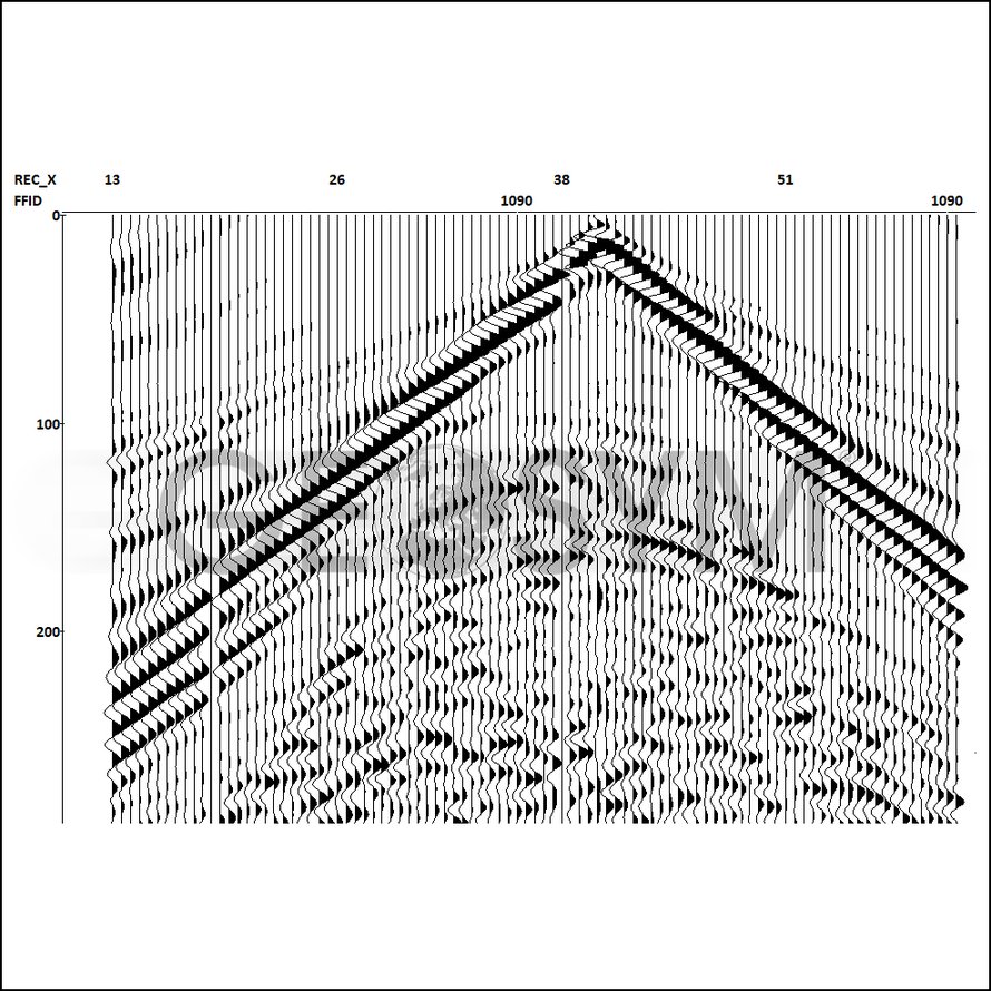 Scherwellen – Geosym Foto 2